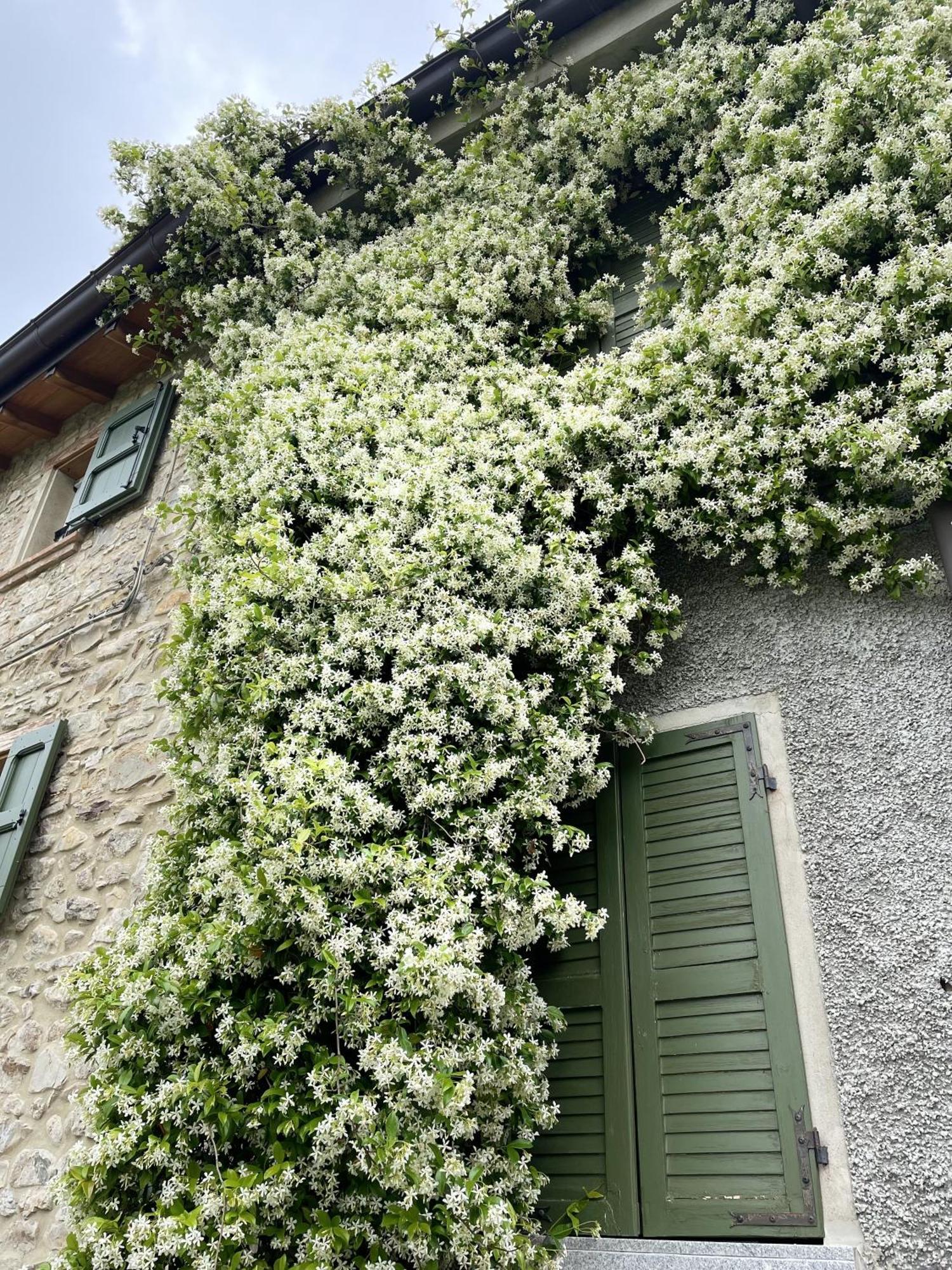 Con Camino Nel Borgo Del Castello Hébergement de vacances *